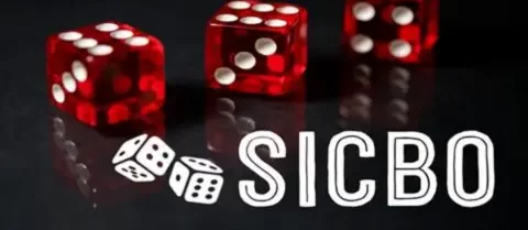 What is Sicbo